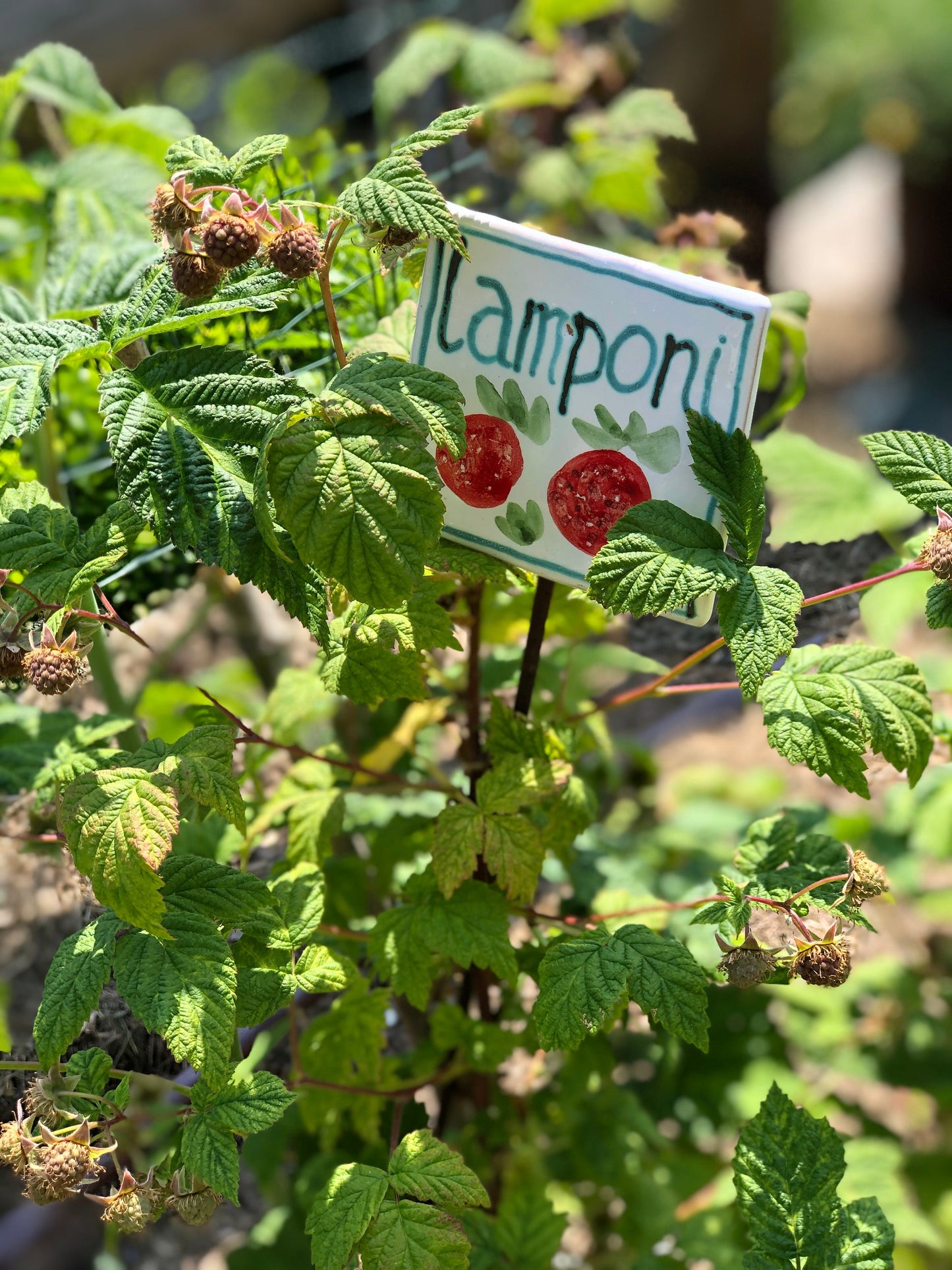 Cartellino orto o spezie