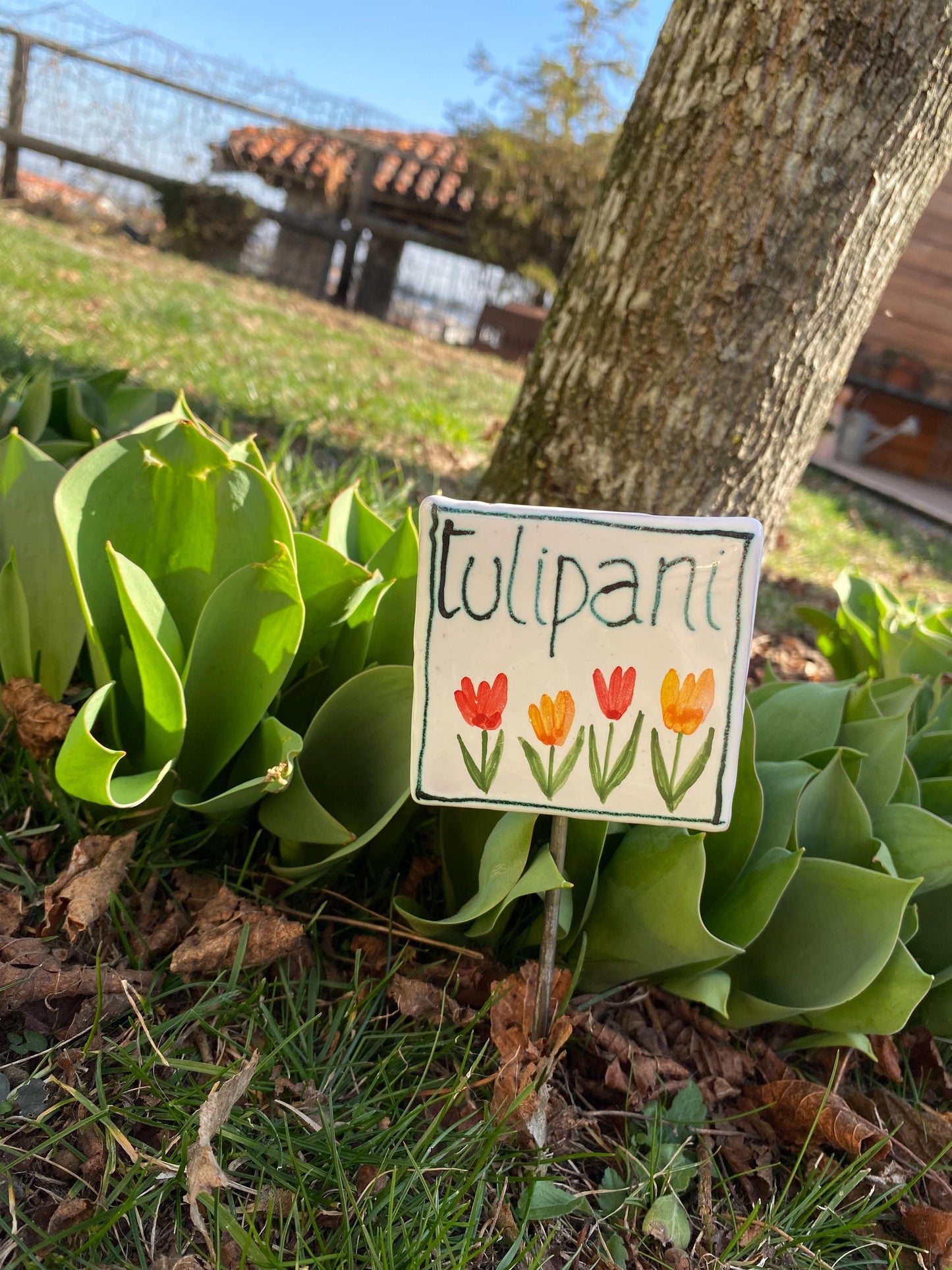 Cartellino orto o spezie