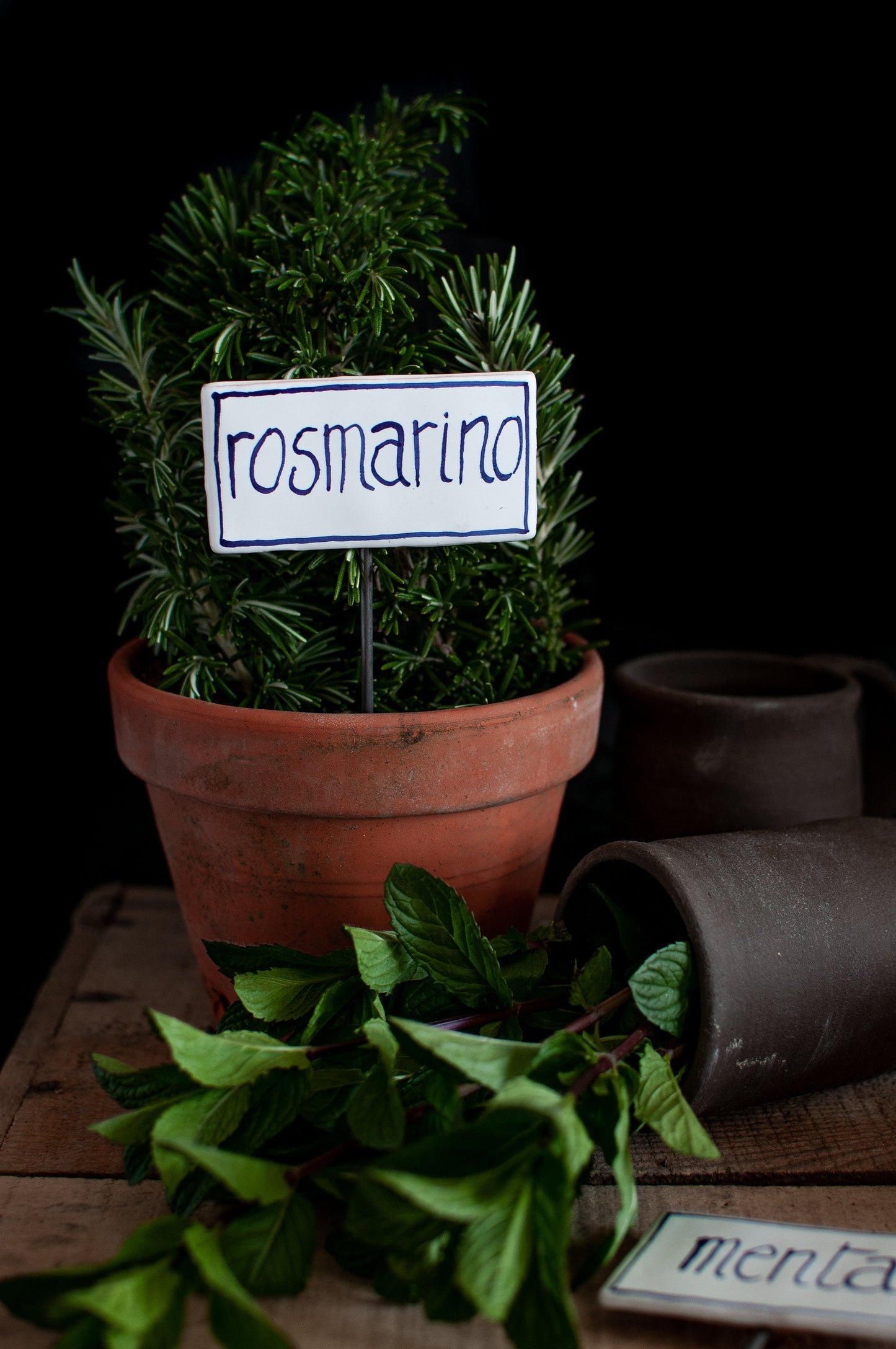 Cartellino per aromatiche