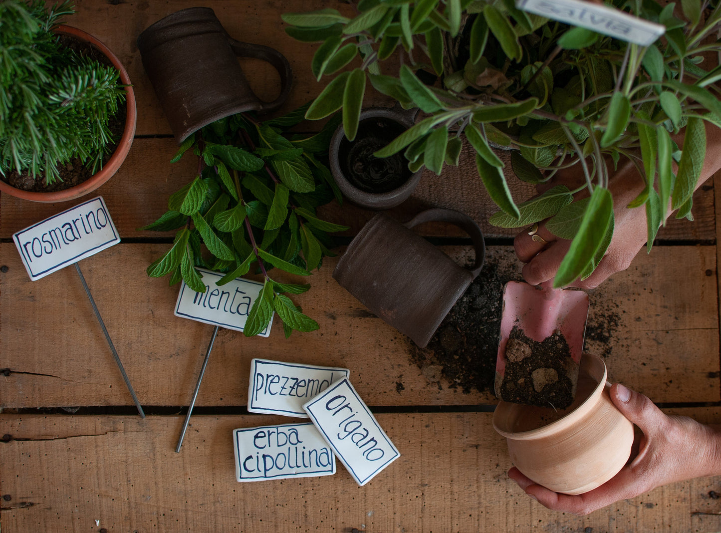 Cartellino per aromatiche